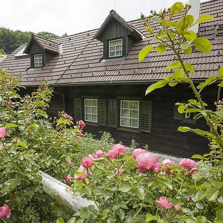 Das Altsteirische Landhaus - La Maison De Pronegg - Feriendomizil Im Biosphaerenpark Wienerwald Пресбаум Номер фото