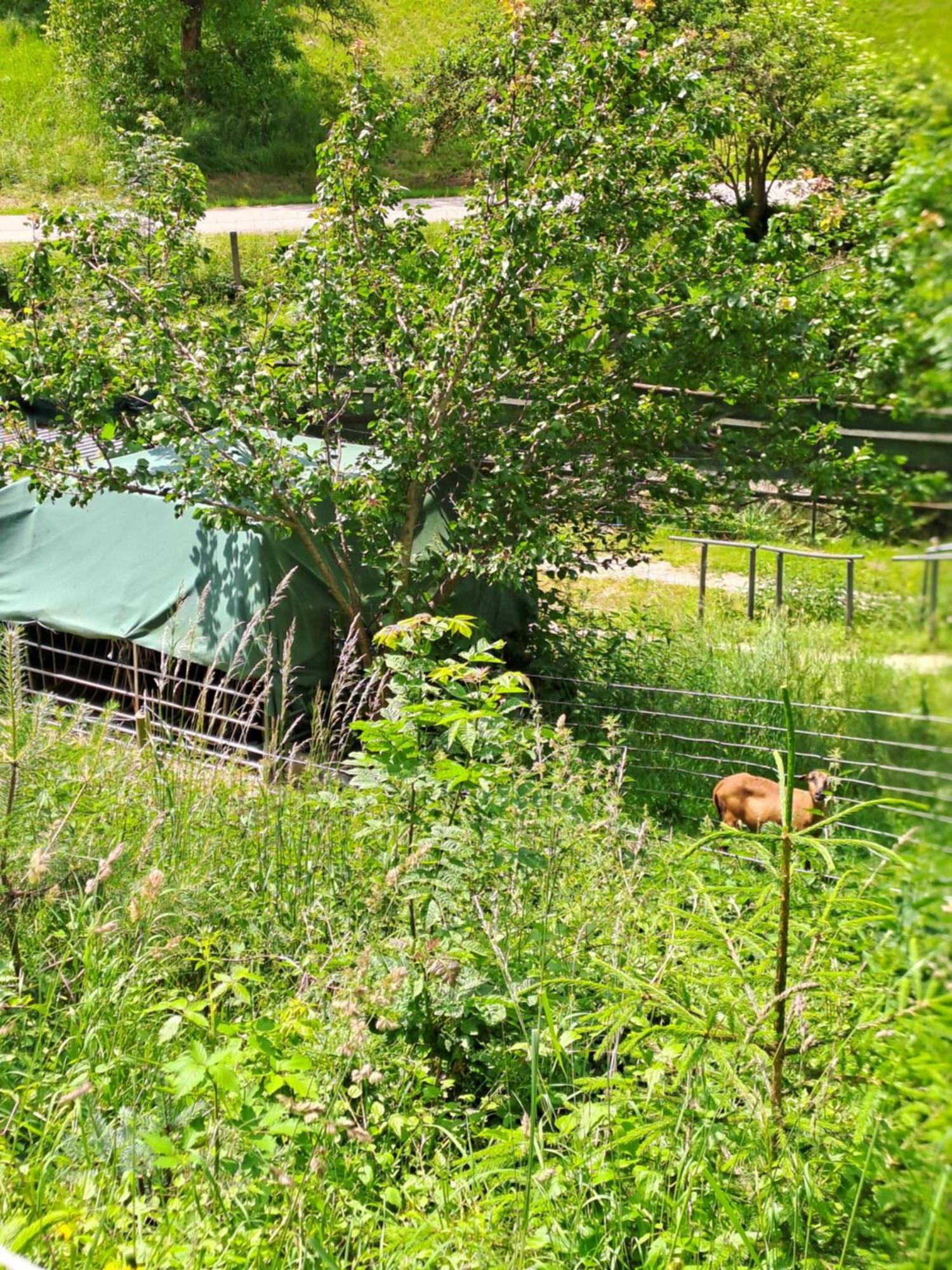 Das Altsteirische Landhaus - La Maison De Pronegg - Feriendomizil Im Biosphaerenpark Wienerwald Пресбаум Экстерьер фото